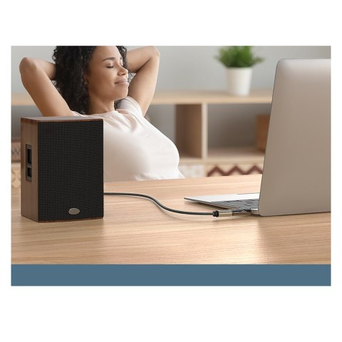 Adapter przejściówka audio 3.5mm (męski) na 6,35mm mini jack (żeński) szary Adapter przejściówka audio 3.5mm (męski) na 6,35mm mini jack (żeński) szary