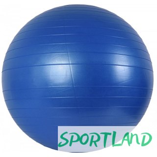 Piłka gimnastyczna 65 cm + pompka N/A