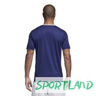 Koszulka piłkarska adidas Entrada 18 CF1036 M