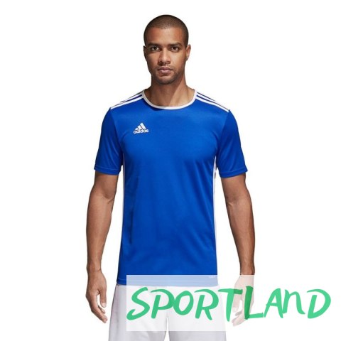 Koszulka piłkarska adidas Entrada 18 CF1037 XL Koszulka piłkarska adidas Entrada 18 CF1037 XL