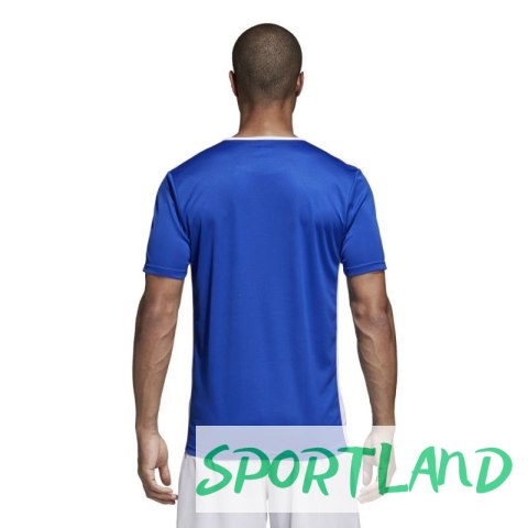 Koszulka piłkarska adidas Entrada 18 CF1037 XL Koszulka piłkarska adidas Entrada 18 CF1037 XL