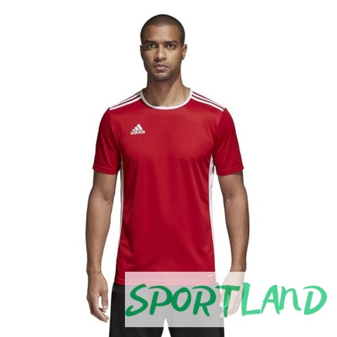 Koszulka piłkarska adidas Entrada 18 CF1038 L Koszulka piłkarska adidas Entrada 18 CF1038 L