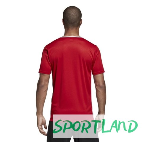 Koszulka piłkarska adidas Entrada 18 CF1038 XL Koszulka piłkarska adidas Entrada 18 CF1038 XL