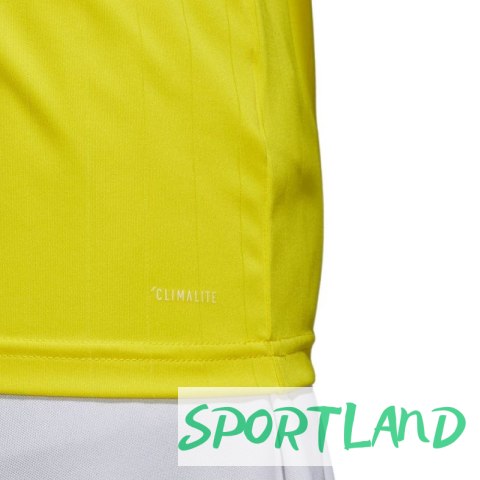 Koszulka piłkarska adidas Tabela 18 JSY M CE8941 S Koszulka piłkarska adidas Tabela 18 JSY M CE8941 S