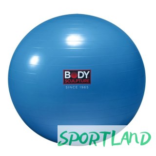 Piłka gimnastyczna ANTI-BURST BB 001 65 CM N/A