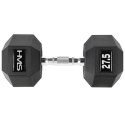 Hantla HMS HEX PRO 27,5 kg N/A Hantla HMS HEX PRO 27,5 kg N/A