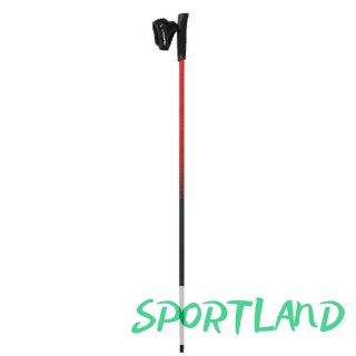 Kij Nordic Walking Pro-Trainer 650/20/7879/34 110 cm