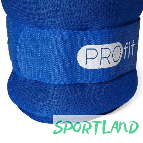 Obciążenia na ręce i nogi PROFIT Evolution 2x0,5kg DK 3310 N/A Obciążenia na ręce i nogi PROFIT Evolution 2x0,5kg DK 3310 N/A