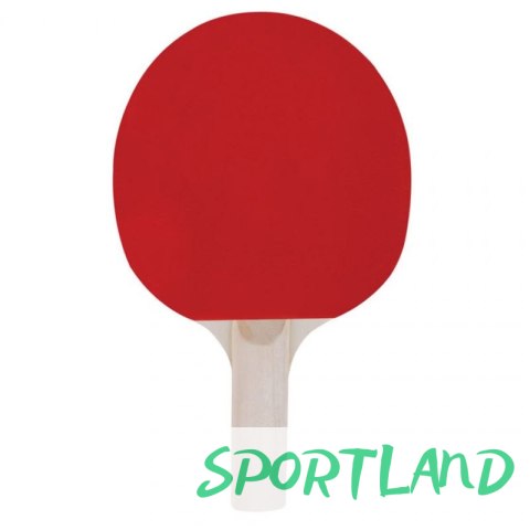 RAKIETKA DO PING PONGA SPOKEY TRAINING 81918 N/A RAKIETKA DO PING PONGA SPOKEY TRAINING 81918 N/A