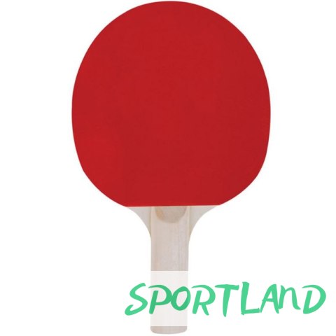 RAKIETKA DO PING PONGA SPOKEY TRAINING 81918 N/A RAKIETKA DO PING PONGA SPOKEY TRAINING 81918 N/A