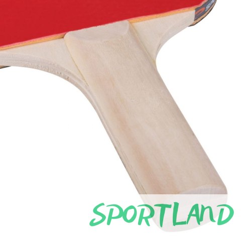 RAKIETKA DO PING PONGA SPOKEY TRAINING 81918 N/A RAKIETKA DO PING PONGA SPOKEY TRAINING 81918 N/A