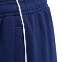 Spodnie adidas Core 18 Sweat Pant Jr CV3958 152cm
