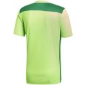 Koszulka piłkarska adidas Regista 18 Jersey M CE8973 XL