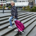 Wózek zakupowy Cruiser Expert Premium 604361 N/A
