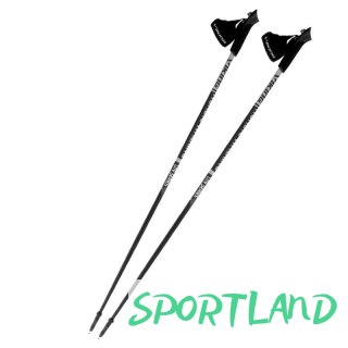 Kije Nordic Walking Viking 650/21/4563/08 110 cm