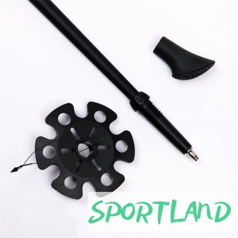 Kije Nordic Walking Viking 650/21/4563/08 115 cm