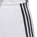Spodenki adidas Tastigo 19 Shorts M DP3247 S Spodenki adidas Tastigo 19 Shorts M DP3247 S