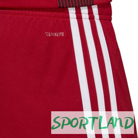 Spodenki adidas Tastigo 19 Shorts M DP3681 S Spodenki adidas Tastigo 19 Shorts M DP3681 S