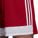 Spodenki adidas Tastigo 19 Shorts M DP3681 S