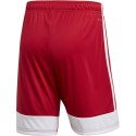 Spodenki adidas Tastigo 19 Shorts M DP3681 S