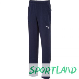 Spodnie Puma Liga Casuals Pants Junior 655635 06 152cm