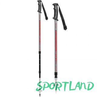 Kije trekkingowe Spokey Ekvilibro GY RD 924976 N/A