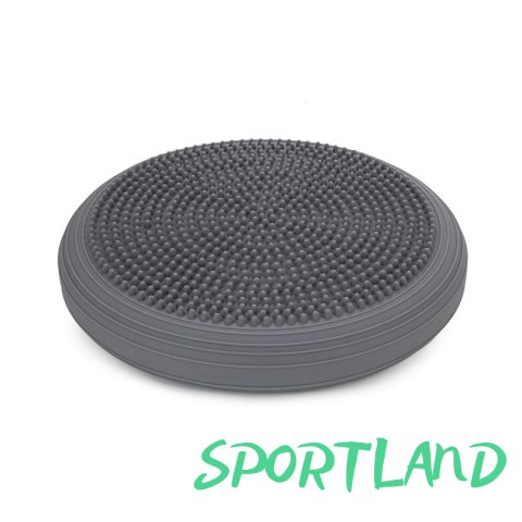 Dysk balansujący ECOWELLNESS QB 014 N/A Dysk balansujący ECOWELLNESS QB 014 N/A