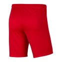 Spodenki Nike Dry Park III M BV6855-657 XXL
