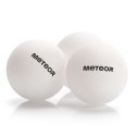 Zestaw do tenisa stołowego Meteor 15029 uniw