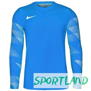 Koszulka Nike Dry Park IV M CJ6066-463 M