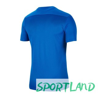 Koszulka Nike Dry Park VII Jr BV6741-463 140 cm