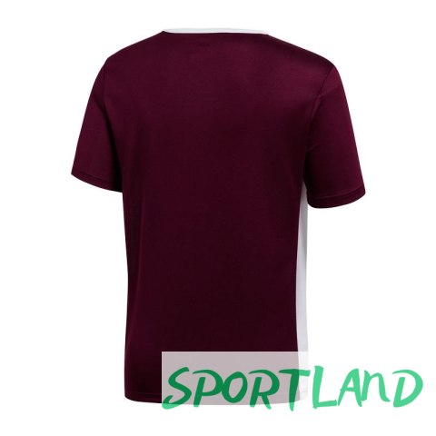 Koszulka adidas Entrada 18 Jr CE9564 116 cm Koszulka adidas Entrada 18 Jr CE9564 116 cm