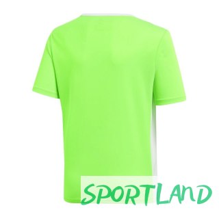 Koszulka adidas Entrada 18 Jr CE9755 116 cm