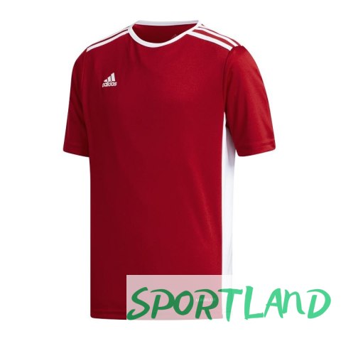 Koszulka adidas Entrada 18 Jr CF1050 116 cm Koszulka adidas Entrada 18 Jr CF1050 116 cm