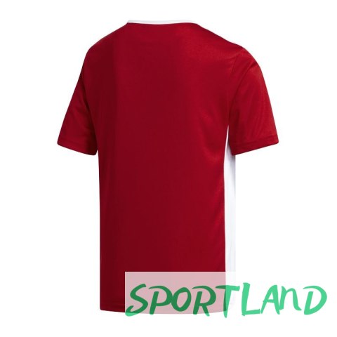 Koszulka adidas Entrada 18 Jr CF1050 116 cm Koszulka adidas Entrada 18 Jr CF1050 116 cm