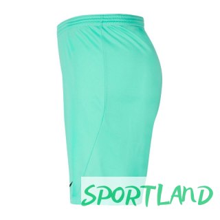 Spodenki Nike Park III Knit Jr BV6865-354 128 cm