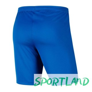 Spodenki Nike Park III Knit Jr BV6865-463 128 cm
