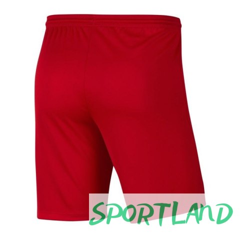 Spodenki Nike Park III Knit Jr BV6865-657 164 cm Spodenki Nike Park III Knit Jr BV6865-657 164 cm
