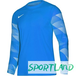 Koszulka Nike Dry Park IV JSY LS GK Jr CJ6072-463 M