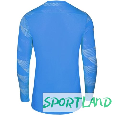Koszulka Nike Dry Park IV JSY LS GK Jr CJ6072-463 M Koszulka Nike Dry Park IV JSY LS GK Jr CJ6072-463 M