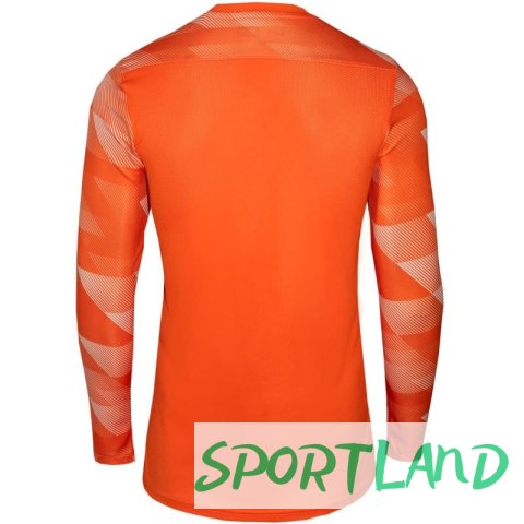 Koszulka Nike Dry Park IV JSY LS GK Jr CJ6072-819 L Koszulka Nike Dry Park IV JSY LS GK Jr CJ6072-819 L