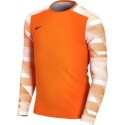 Koszulka Nike Dry Park IV JSY LS GK Jr CJ6072-819 XL