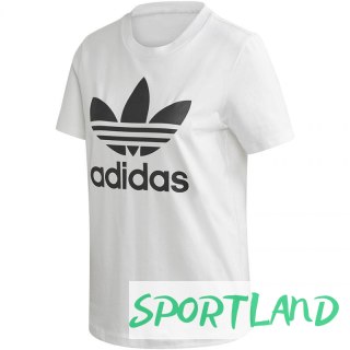 Koszulka adidas Trefoil Tee W FM3306 32