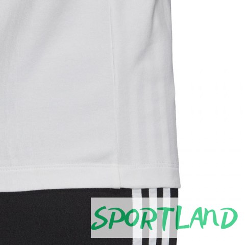Koszulka adidas Trefoil Tee W FM3306 36 Koszulka adidas Trefoil Tee W FM3306 36