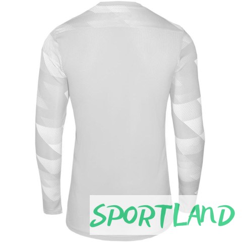 Koszulka Nike Dry Park IV JSY LS GK Jr CJ6072-052 L Koszulka Nike Dry Park IV JSY LS GK Jr CJ6072-052 L