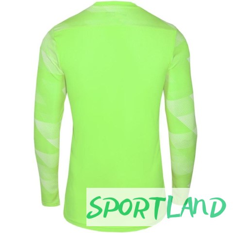 Koszulka Nike Dry Park IV JSY LS GK Jr CJ6072-702 122 cm Koszulka Nike Dry Park IV JSY LS GK Jr CJ6072-702 122 cm