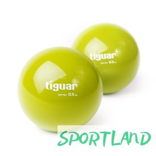 Piłka Heavyball 0,5 kg Tiguar TI-PHB050 N/A
