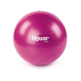Piłka gimnastyczna tiguar easyball TI-PEB025 N/A