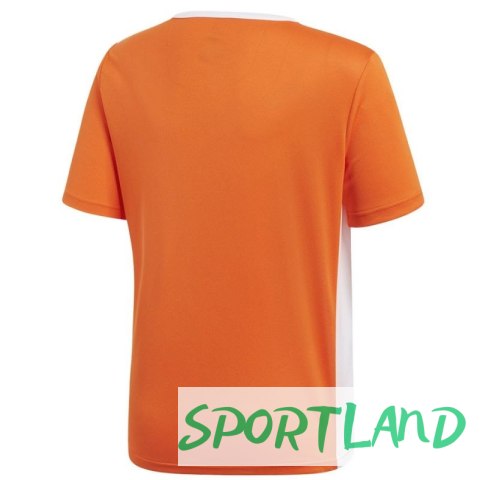 Koszulka adidas Entrada 18 JSY Y Jr CF1043 140 cm Koszulka adidas Entrada 18 JSY Y Jr CF1043 140 cm