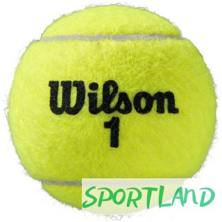 Piłki do tenisa ziemnego Wilson Roland Garros All Court 3 szt. WRT126400 N/A